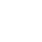 cash icon
