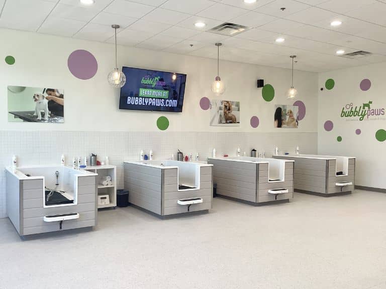 A row of four dog grooming tubs
