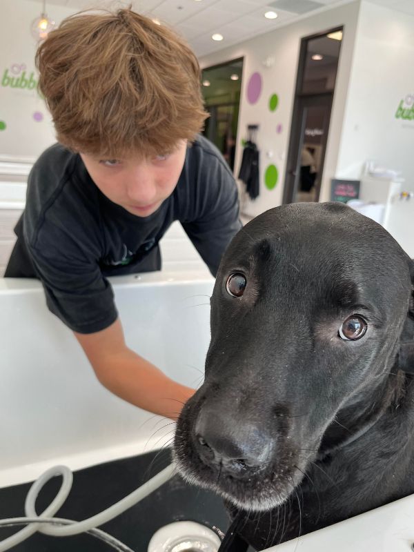 boy washing black dog