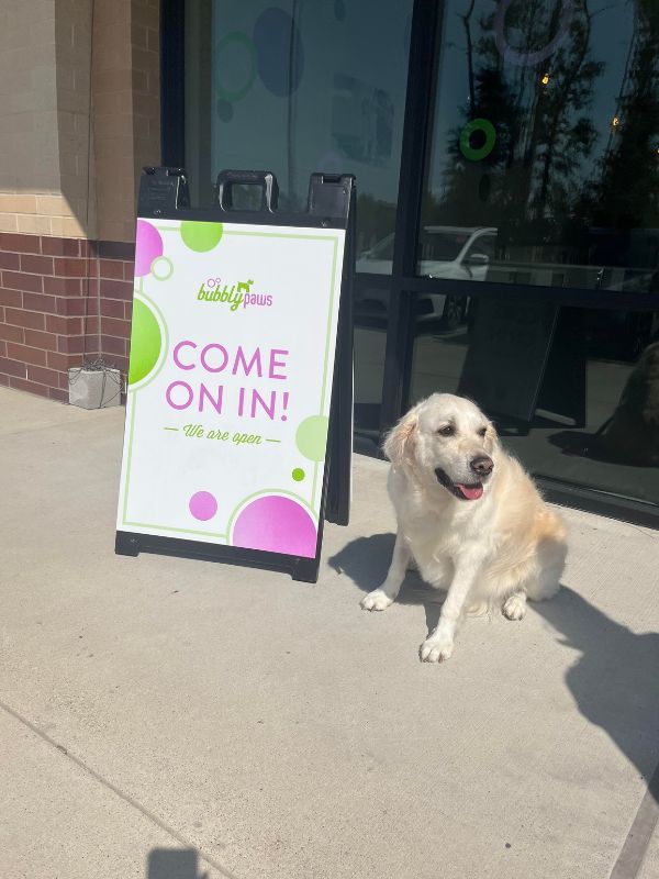 dog by store sign