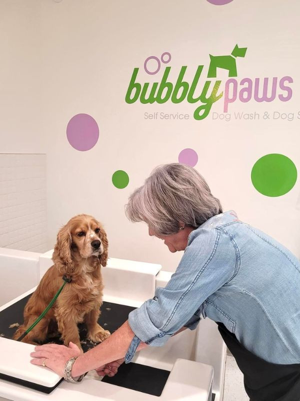 dog woman bubbly paws