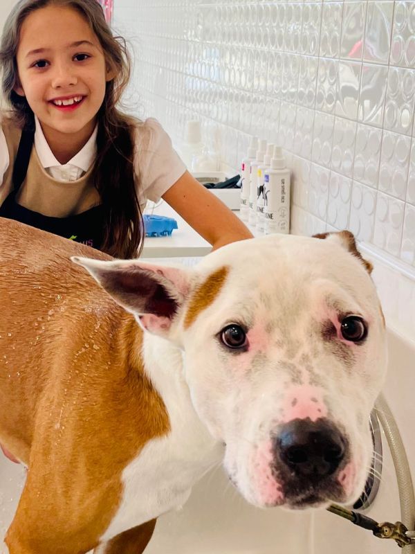 girl and dog bathing