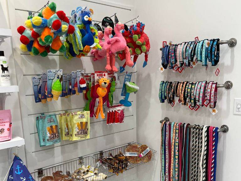 pet store products display